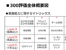 300評価全体概要図