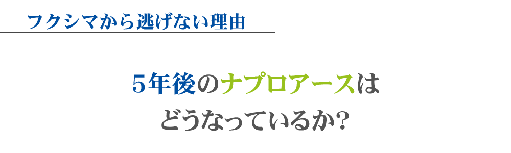 5年後のナプロアースはどうなっていいるか