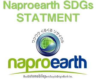 Naproearth SDGs STATMENT